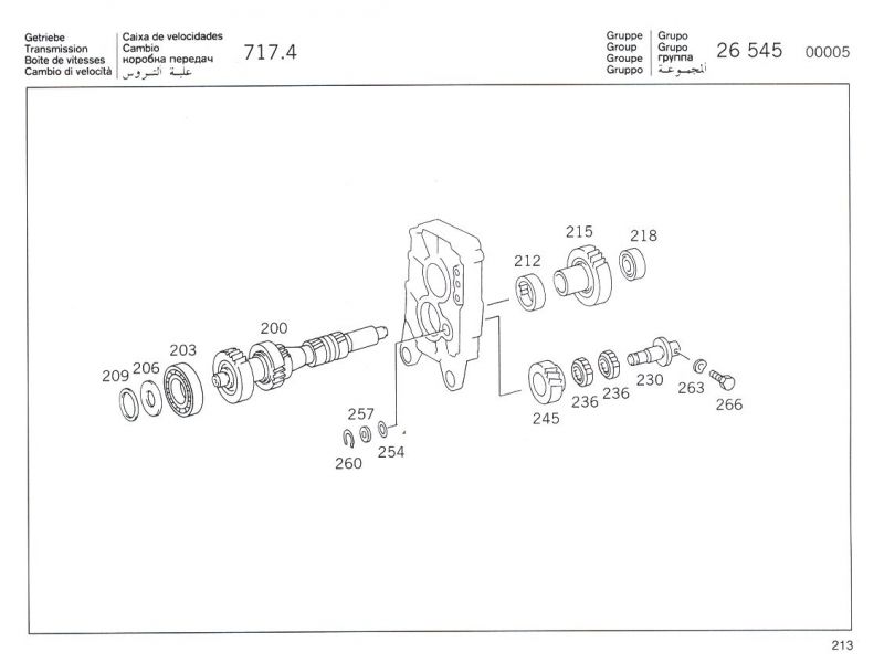 strona213.jpg