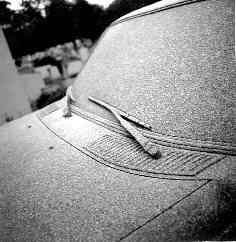 w123s147_jpg.jpg