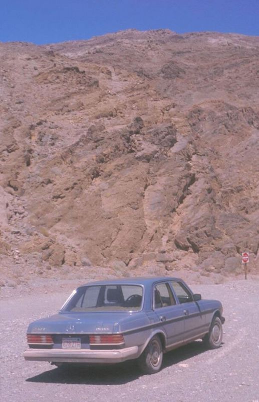 w123s0031_jpg.jpg