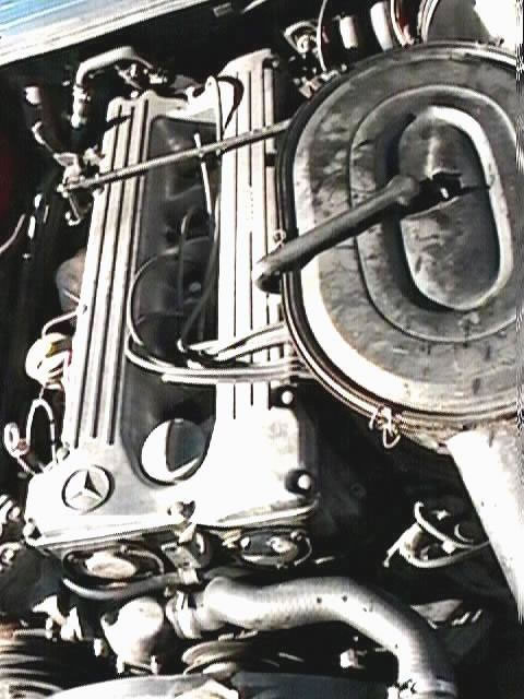 w123i0090_jpg.jpg