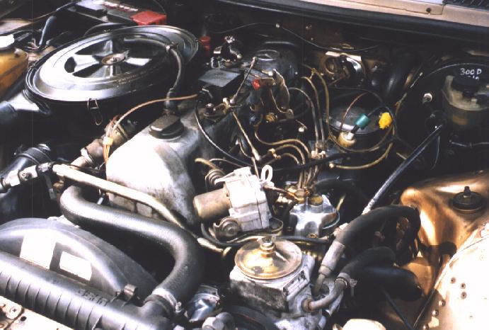 w123i0094_jpg.jpg