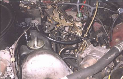 w123i0095_jpg.jpg