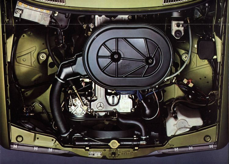 w123i102_jpg.jpg